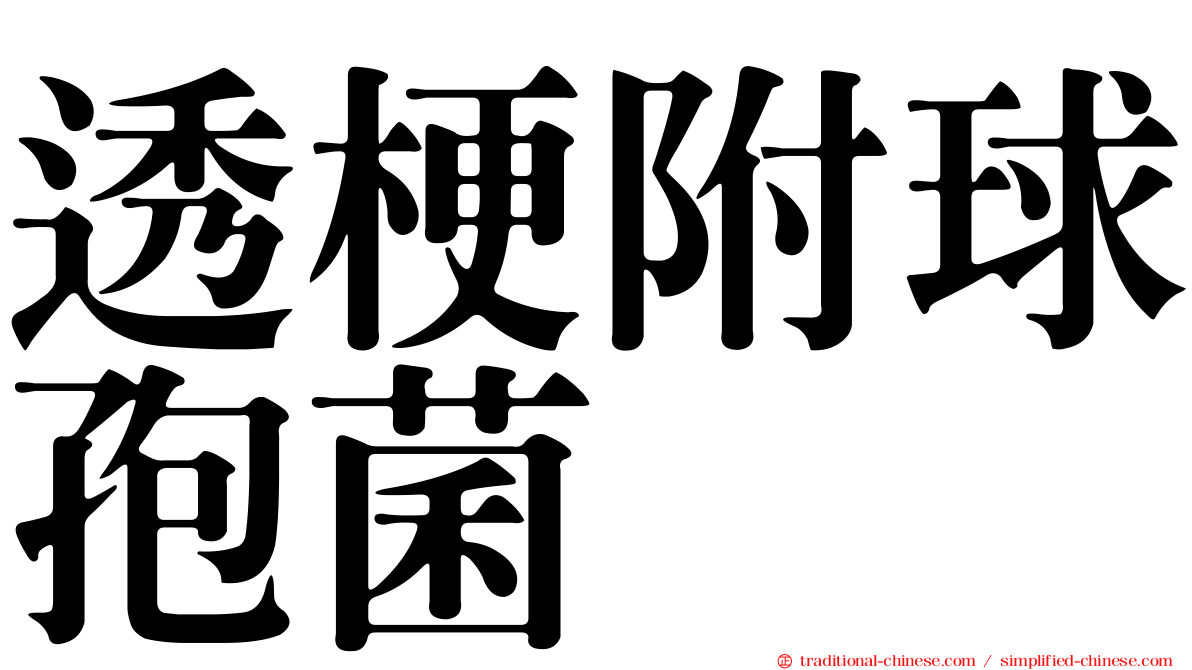 透梗附球孢菌