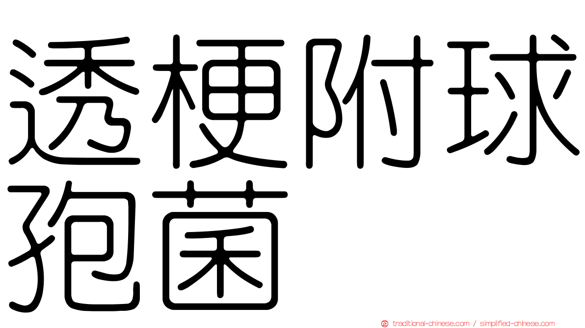 透梗附球孢菌
