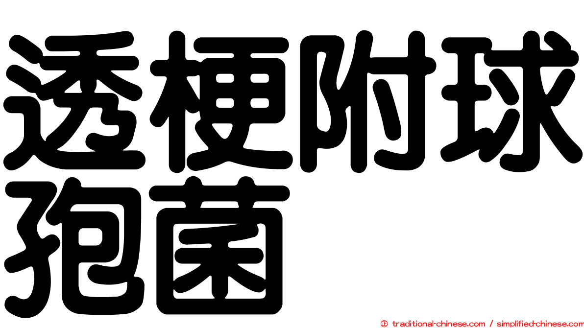 透梗附球孢菌