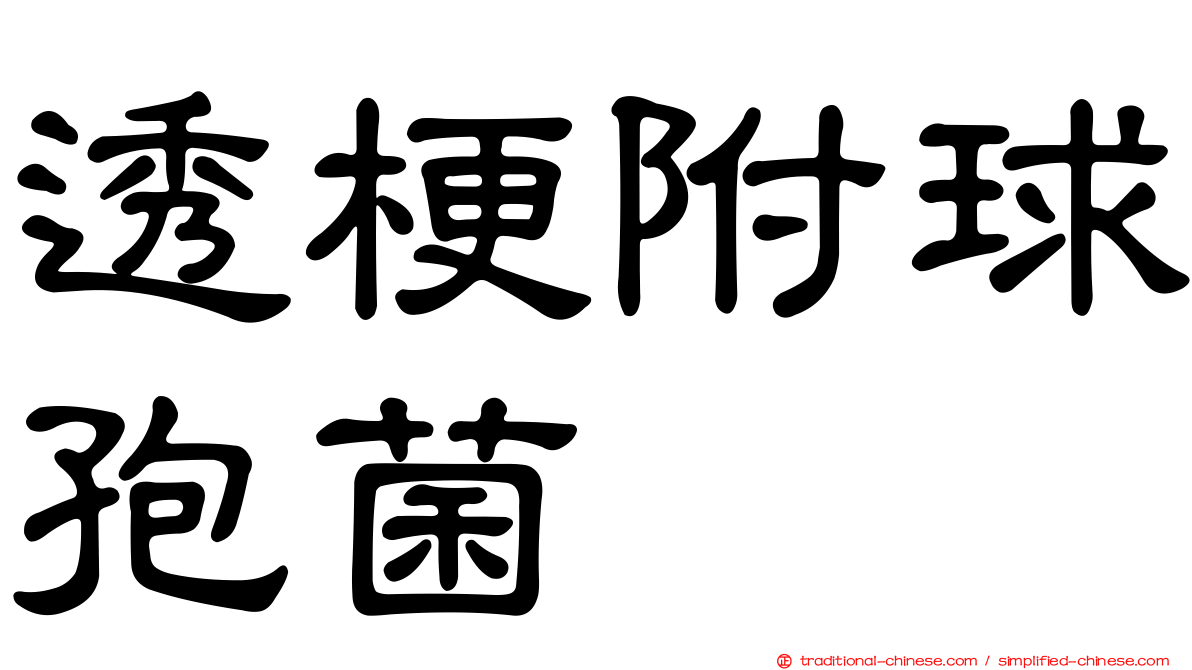 透梗附球孢菌