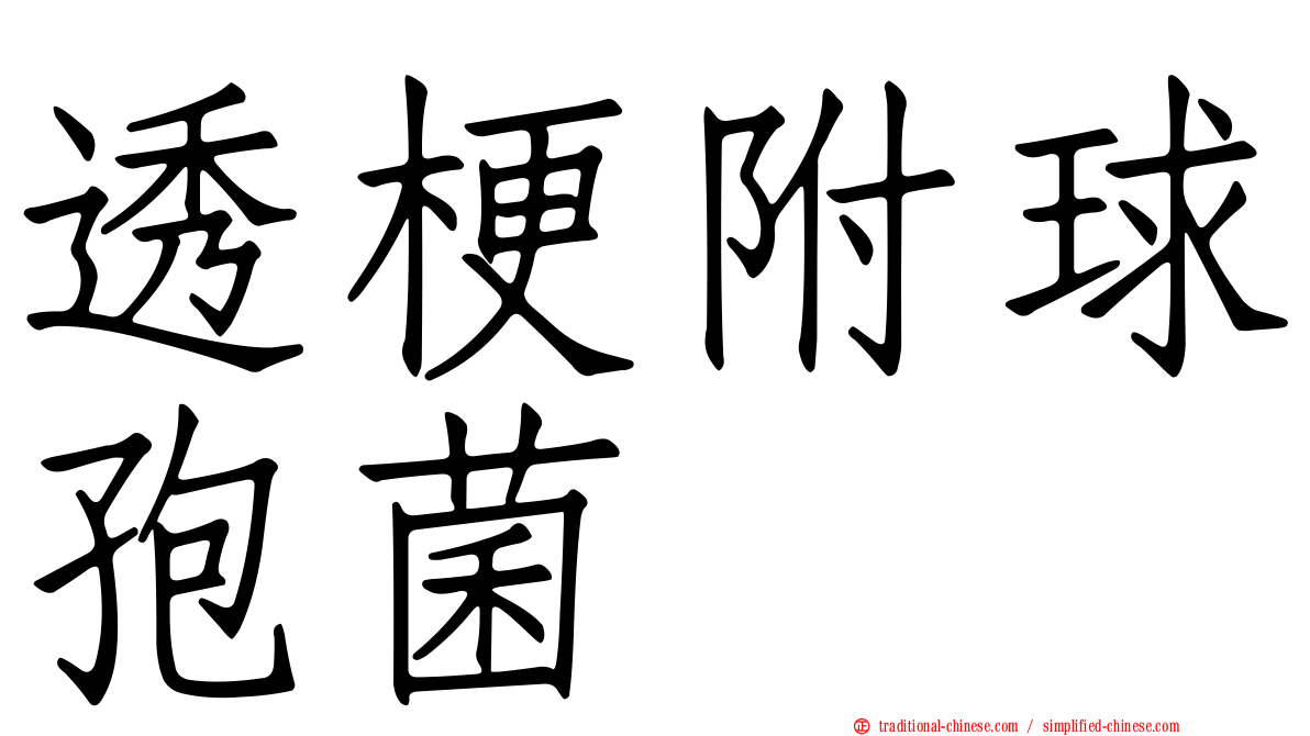 透梗附球孢菌