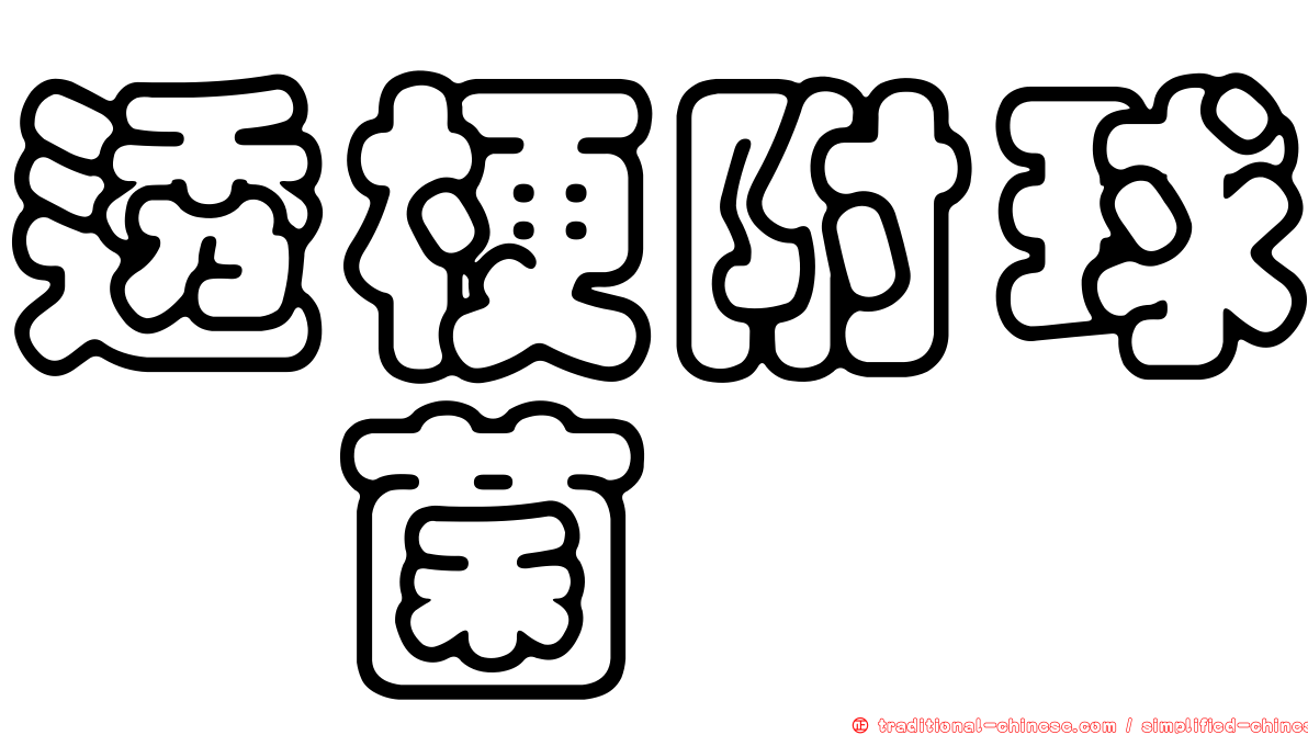 透梗附球孢菌