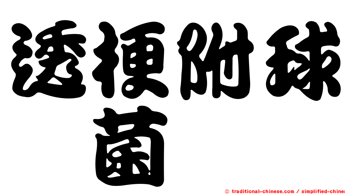 透梗附球孢菌