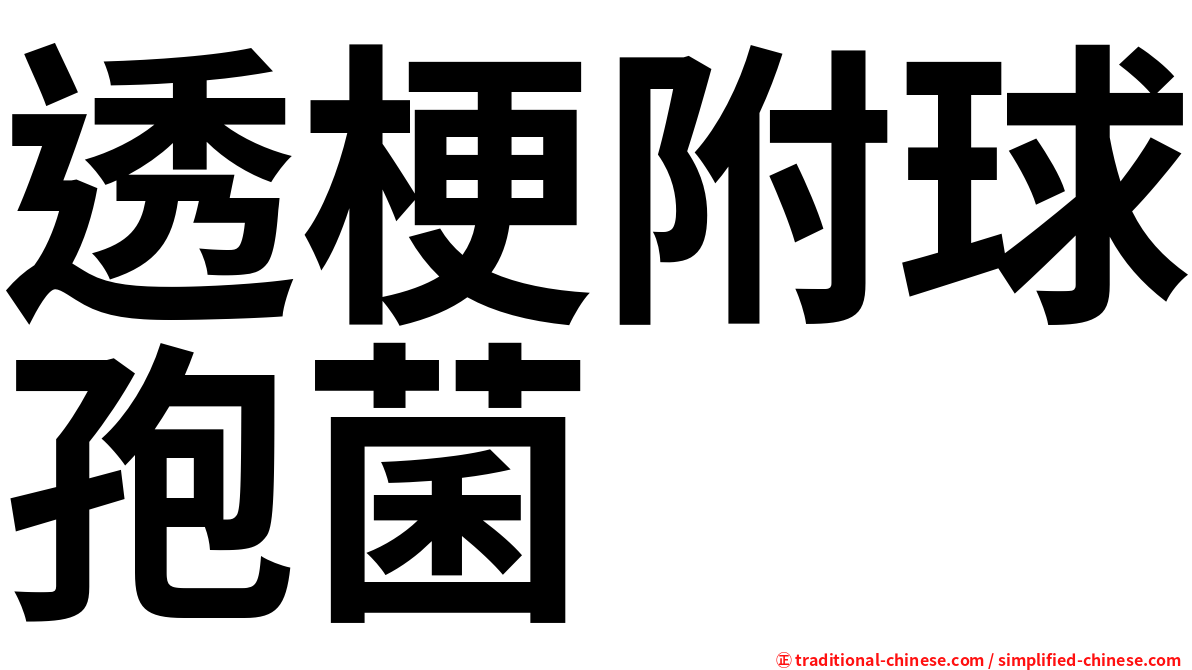 透梗附球孢菌