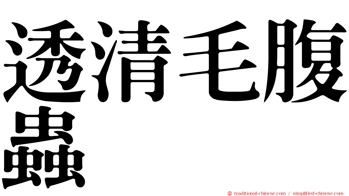 透清毛腹蟲
