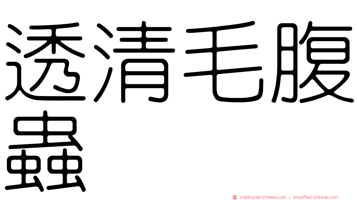 透清毛腹蟲