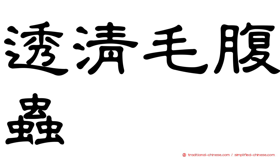 透清毛腹蟲