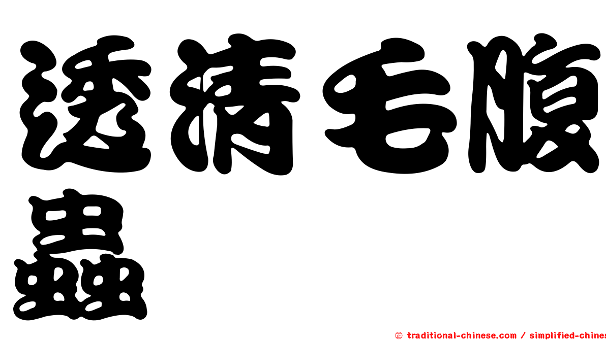 透清毛腹蟲