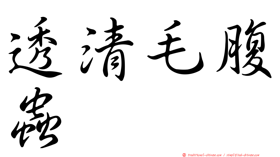 透清毛腹蟲