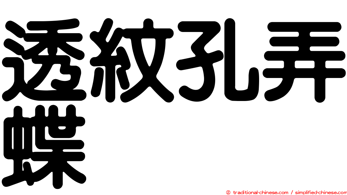 透紋孔弄蝶