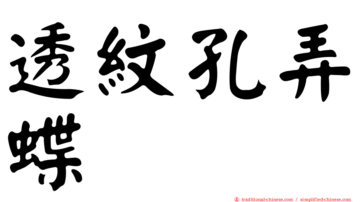 透紋孔弄蝶