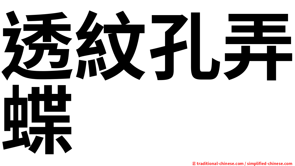 透紋孔弄蝶