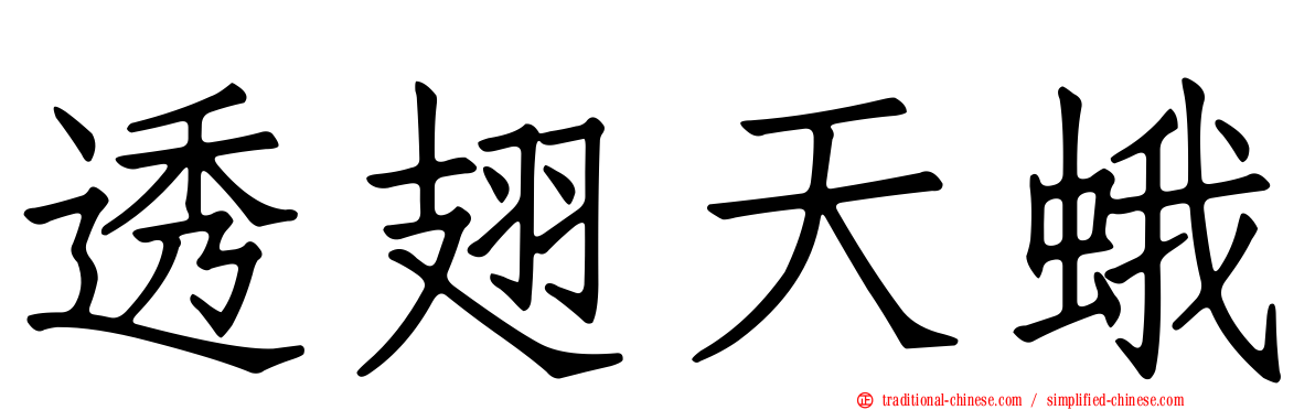 透翅天蛾
