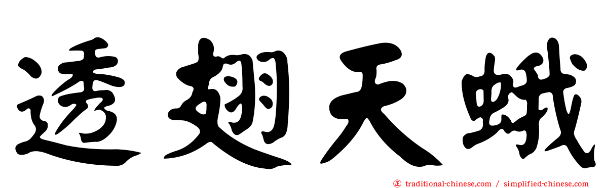 透翅天蛾