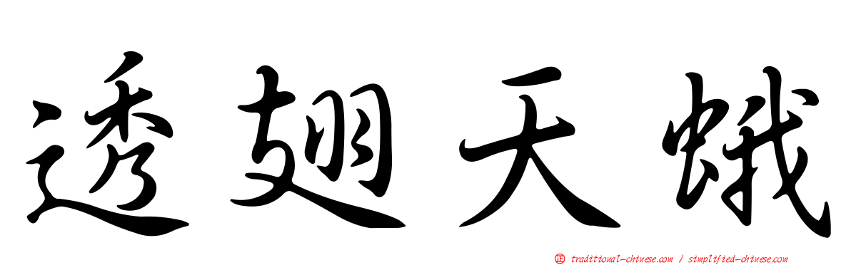 透翅天蛾