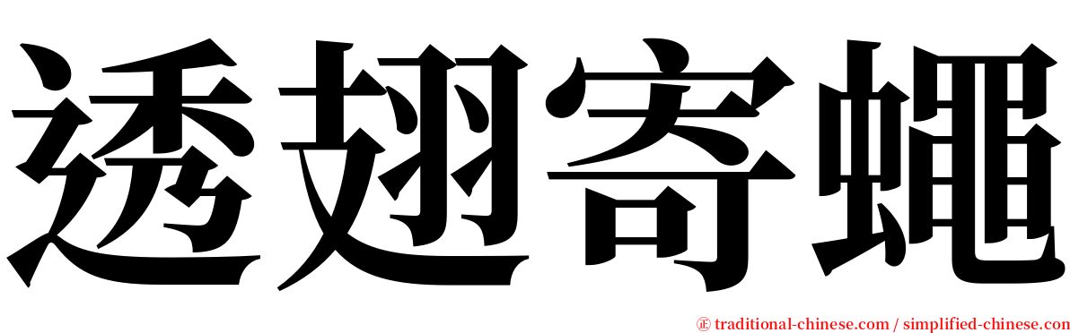 透翅寄蠅 serif font
