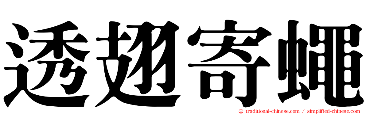 透翅寄蠅