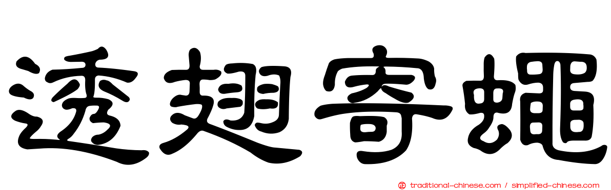 透翅寄蠅