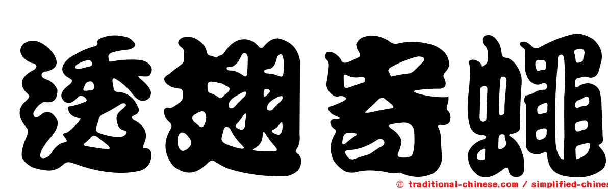 透翅寄蠅