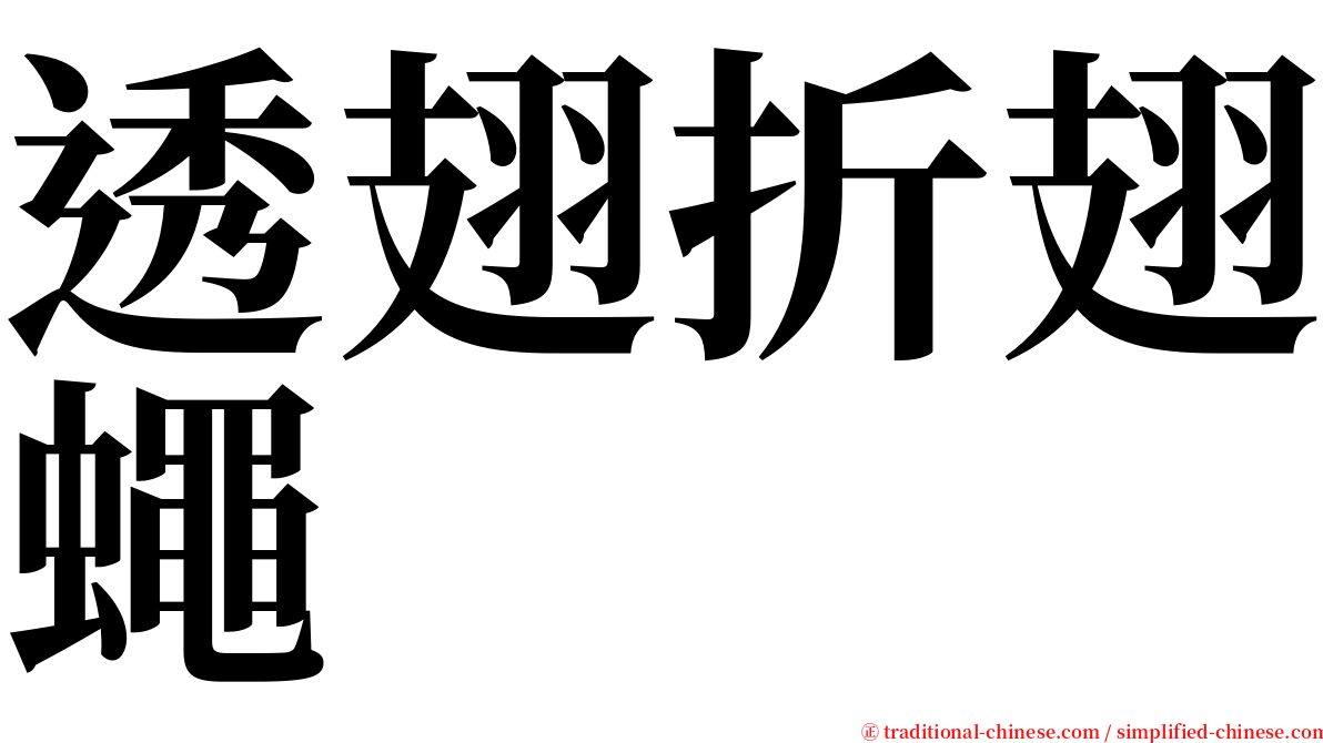 透翅折翅蠅 serif font