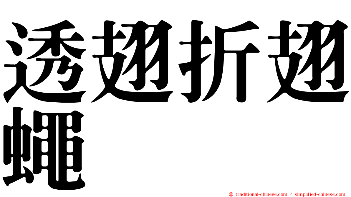 透翅折翅蠅