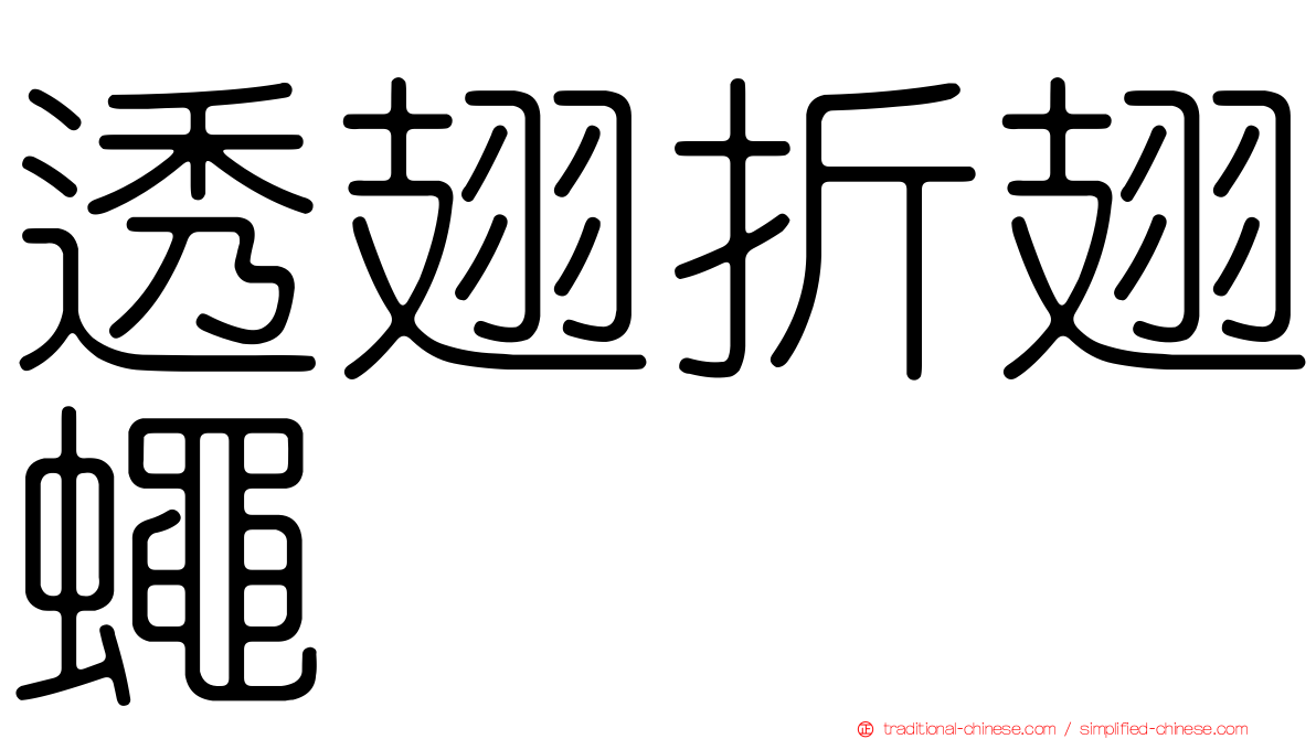透翅折翅蠅