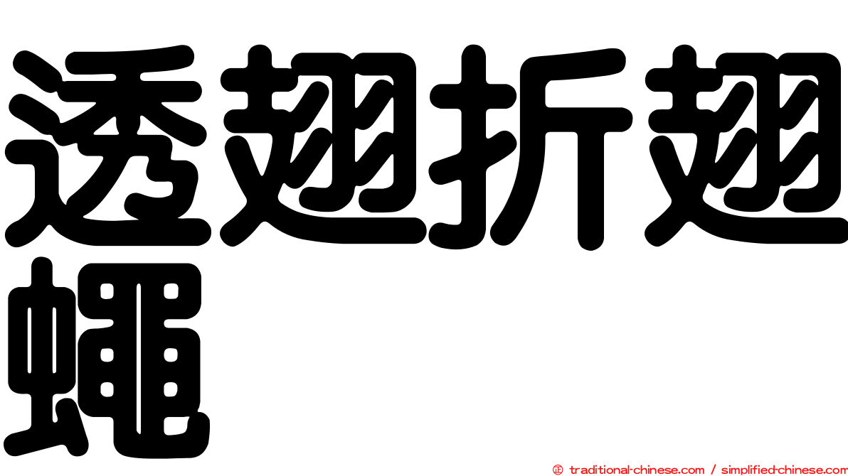 透翅折翅蠅