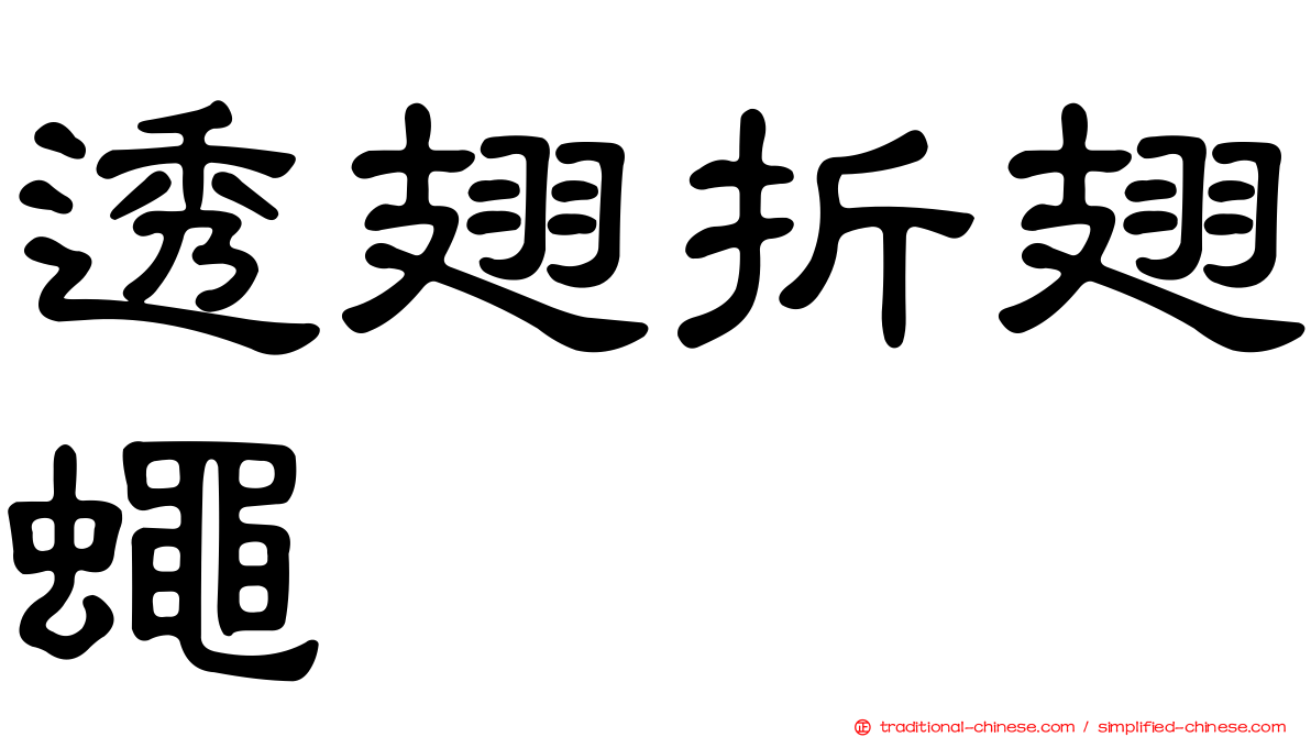 透翅折翅蠅