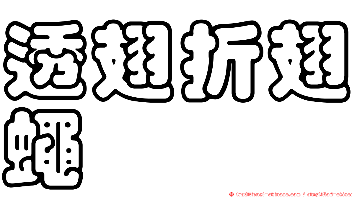 透翅折翅蠅