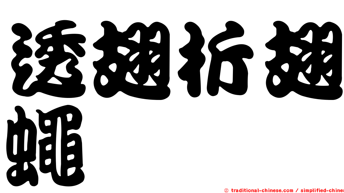 透翅折翅蠅