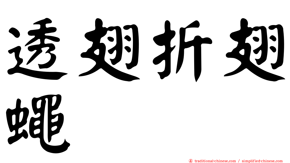 透翅折翅蠅
