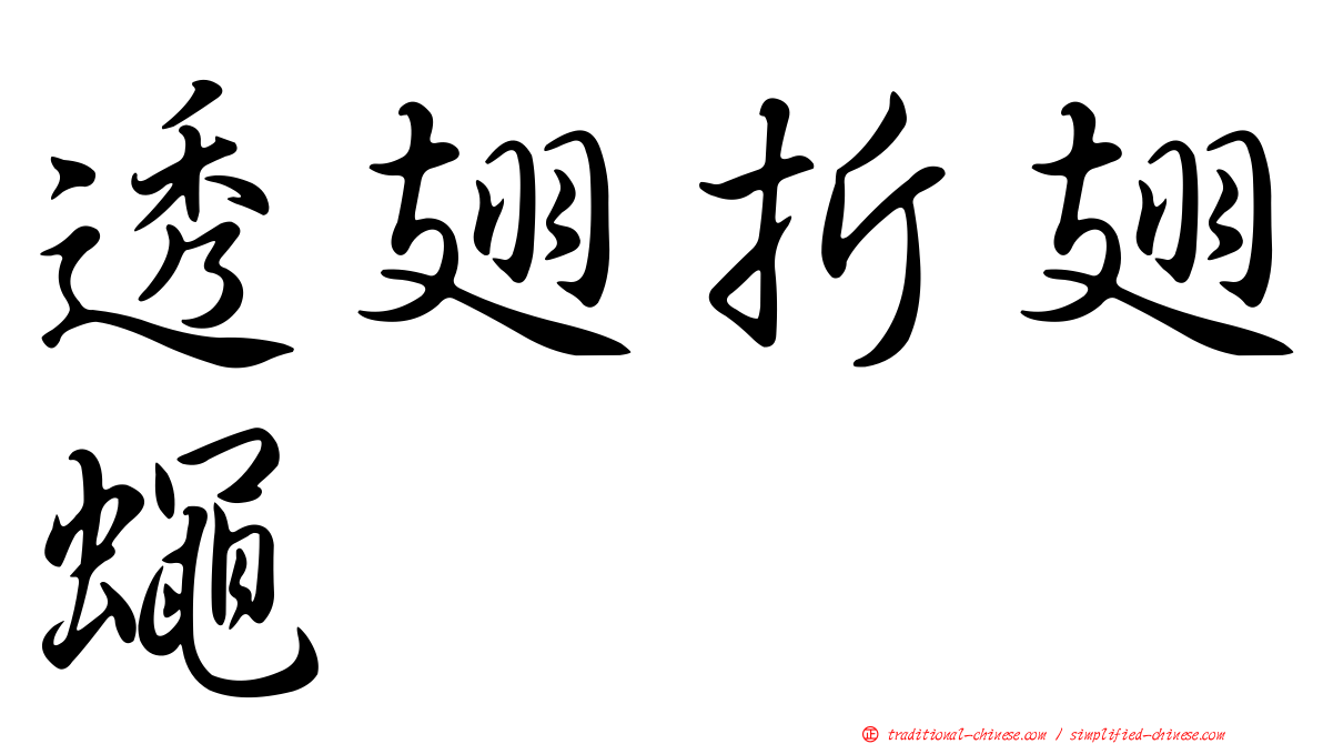 透翅折翅蠅