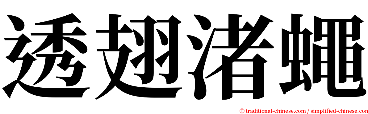 透翅渚蠅 serif font