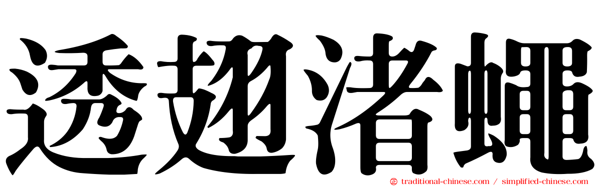 透翅渚蠅