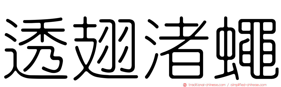 透翅渚蠅