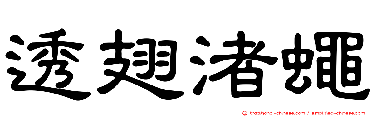 透翅渚蠅
