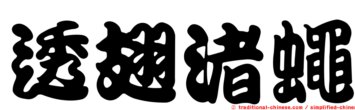 透翅渚蠅