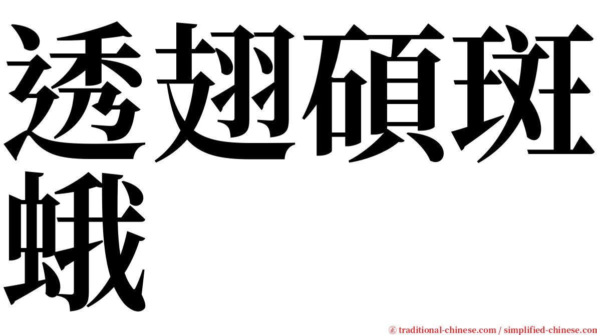 透翅碩斑蛾 serif font