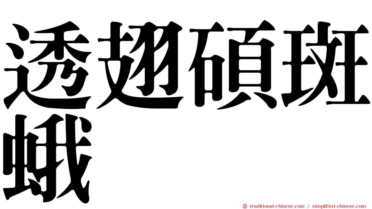 透翅碩斑蛾