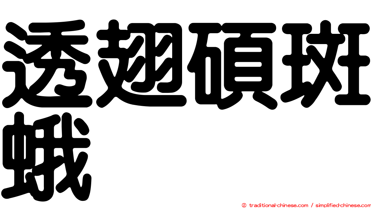 透翅碩斑蛾