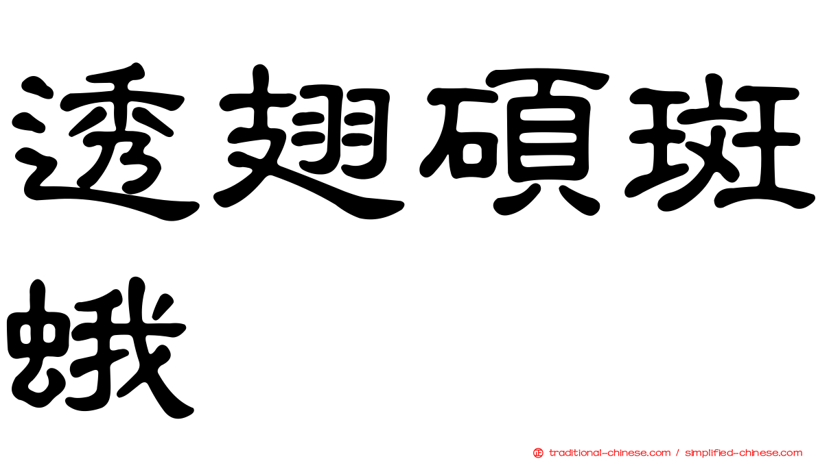 透翅碩斑蛾