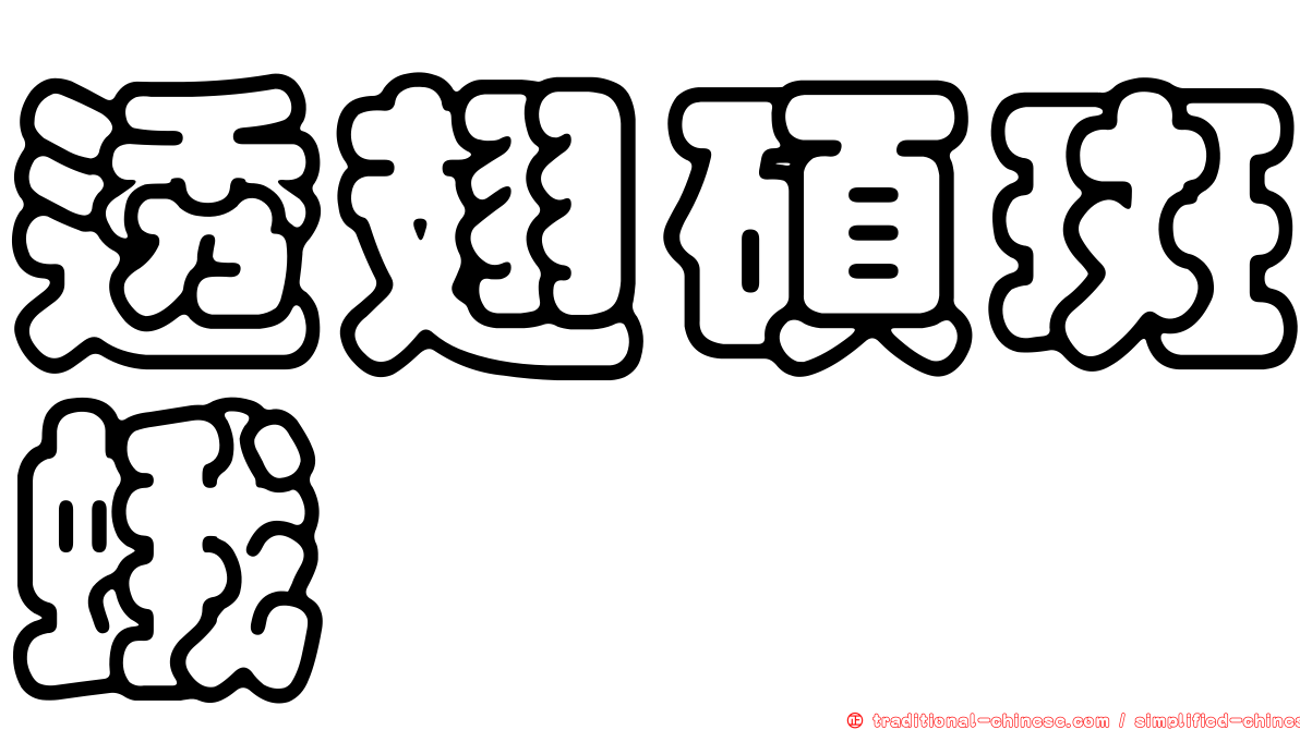透翅碩斑蛾