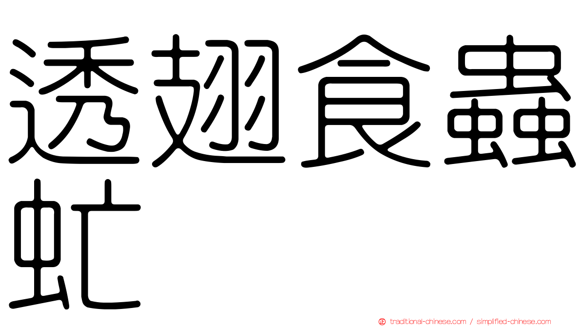 透翅食蟲虻