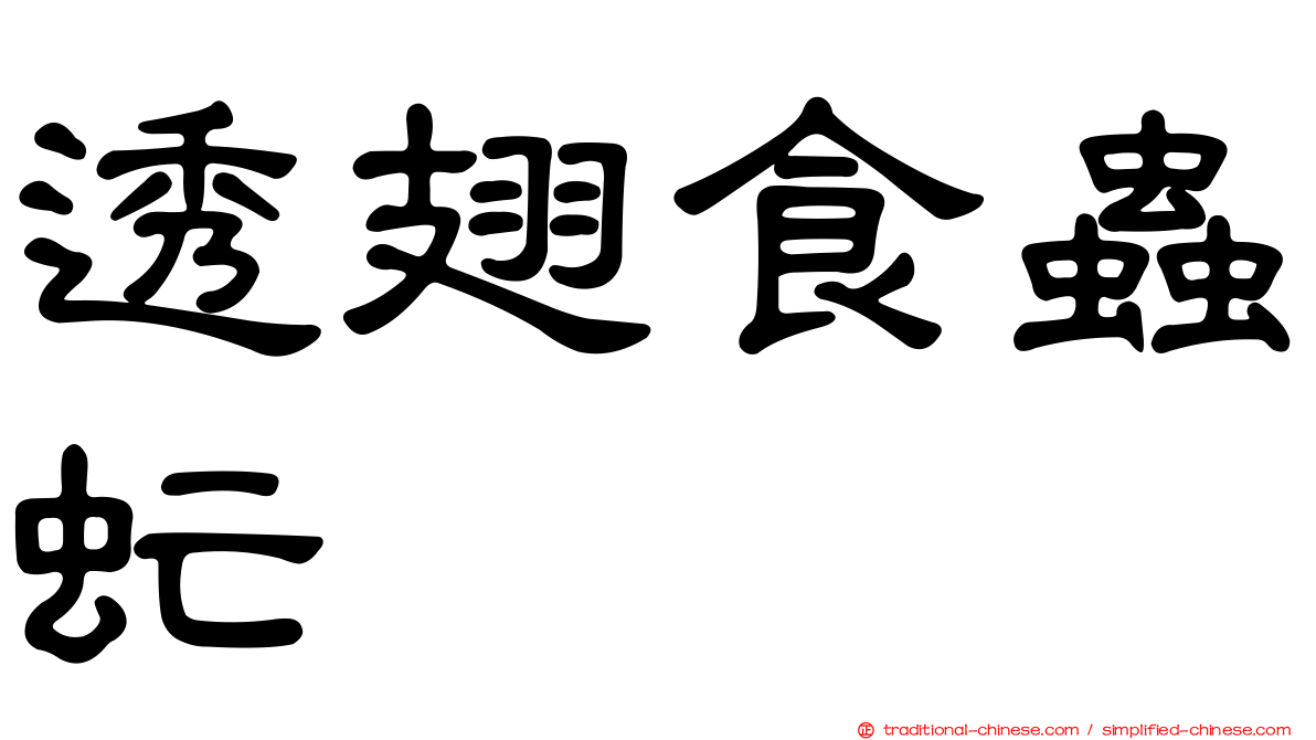 透翅食蟲虻