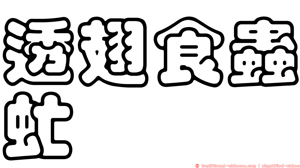 透翅食蟲虻