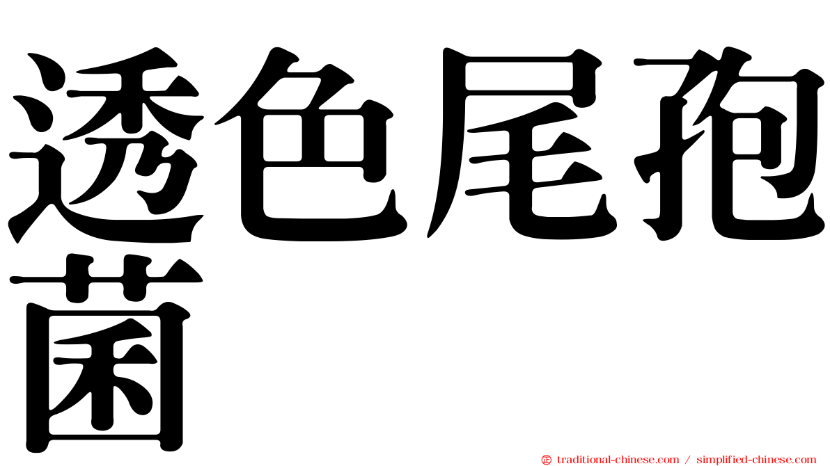 透色尾孢菌