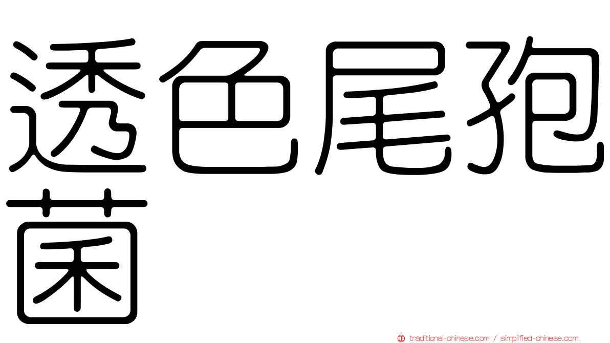 透色尾孢菌