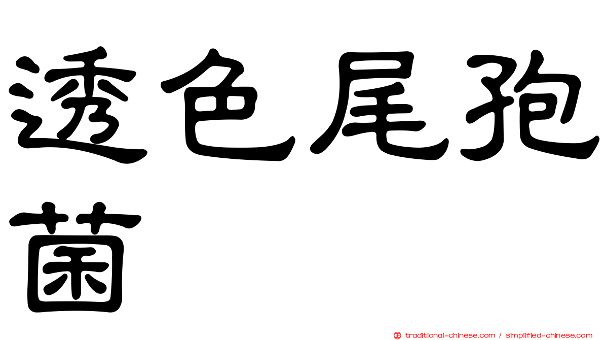 透色尾孢菌