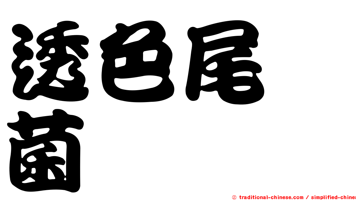 透色尾孢菌