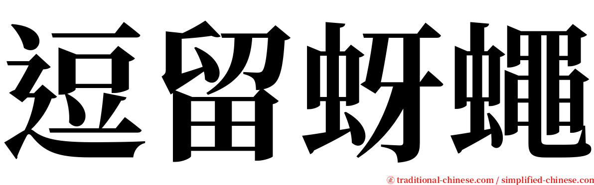逗留蚜蠅 serif font